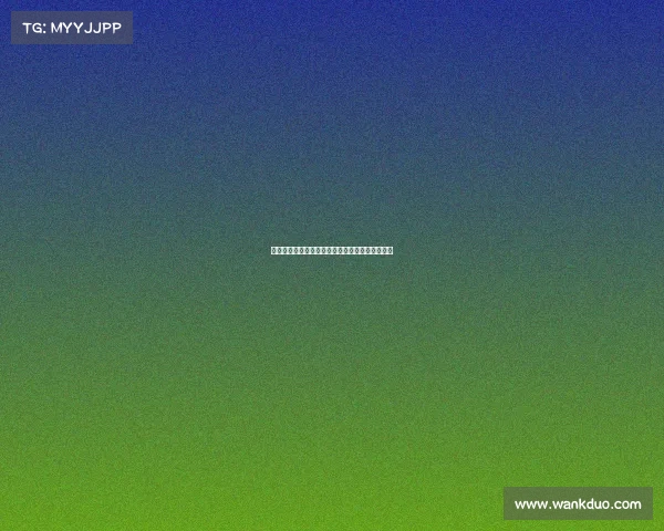 孔帕尼谈球队引援计划：我将专注于发挥最佳水平