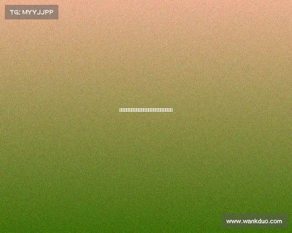 德甲球衣设计风格解析与球迷文化的深度融合探索