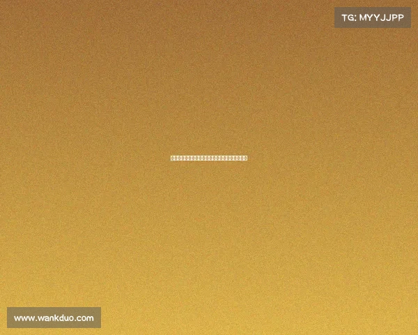 德甲球衣设计风格解析与球迷文化的深度融合探索