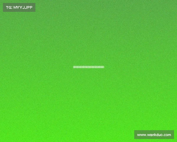 西甲联赛历年赛事数据分析与球队表现趋势研究